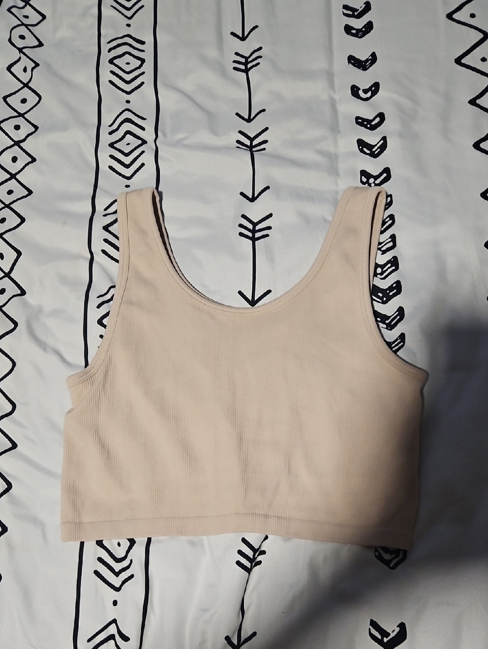 aerie Ribbed Scoop-Neck Crop Tank in Light Beige